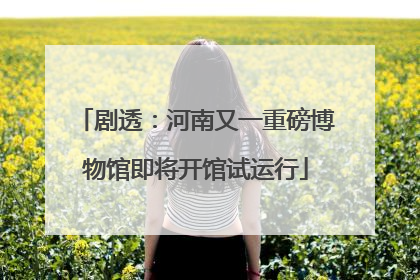 剧透：河南又一重磅博物馆即将开馆试运行