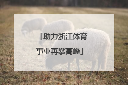 助力浙江体育事业再攀高峰