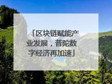区块链赋能产业发展，普陀数字经济再加速