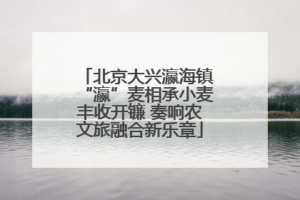北京大兴瀛海镇“瀛”麦相承小麦丰收开镰 奏响农文旅融合新乐章