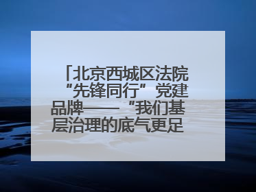 北京西城区法院“先锋同行”党建品牌——“我们基层治理的底气更足了！”