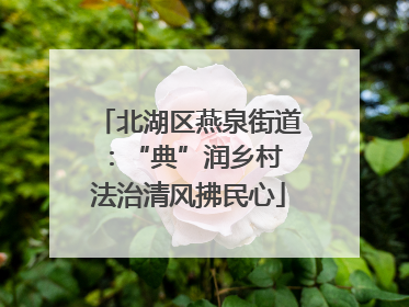 北湖区燕泉街道：“典”润乡村 法治清风拂民心