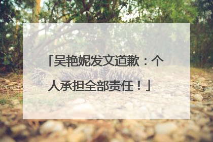 吴艳妮发文道歉：个人承担全部责任！