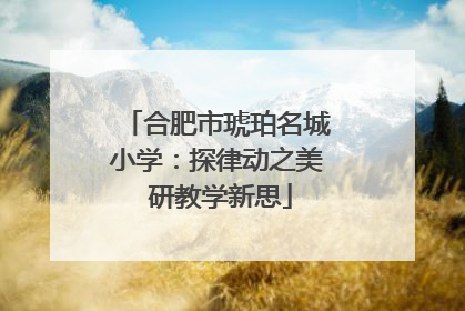 合肥市琥珀名城小学：探律动之美 研教学新思