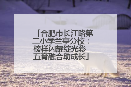 合肥市长江路第三小学兰亭分校：榜样闪耀绽光彩 五育融合助成长