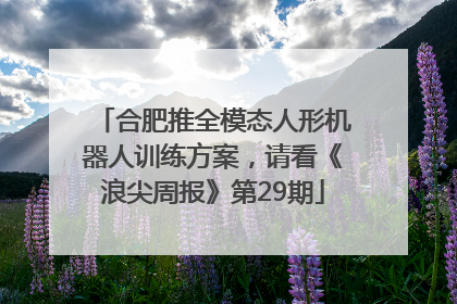 合肥推全模态人形机器人训练方案，请看《浪尖周报》第29期