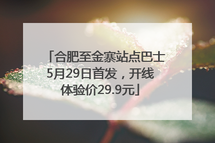 合肥至金寨站点巴士5月29日首发，开线体验价29.9元