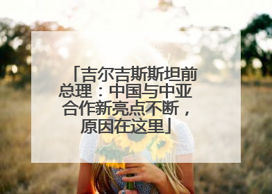 吉尔吉斯斯坦前总理：中国与中亚合作新亮点不断，原因在这里