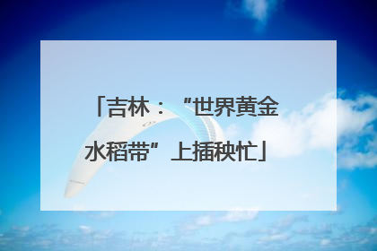 吉林：“世界黄金水稻带”上插秧忙