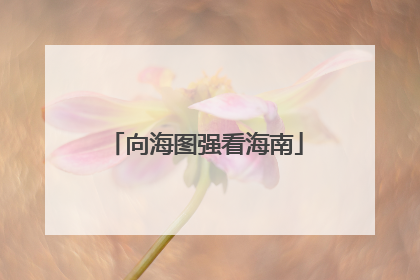 向海图强看海南