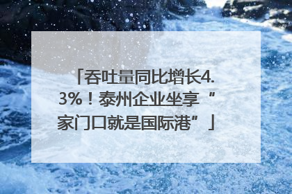 吞吐量同比增长4.3%！泰州企业坐享“家门口就是国际港”