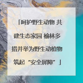 呵护野生动物 共建生态家园 榆林多措并举为野生动植物筑起“安全屏障”