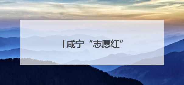 咸宁“志愿红”织密高考服务网