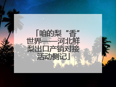 咱的梨“香”世界——河北鲜梨出口产销对接活动侧记