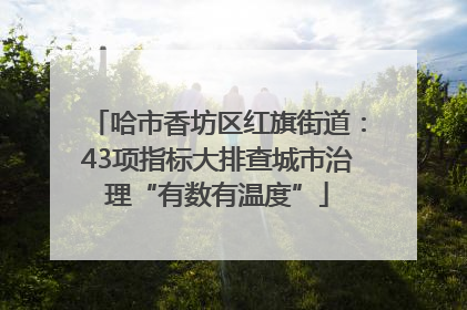 哈市香坊区红旗街道：43项指标大排查城市治理“有数有温度”