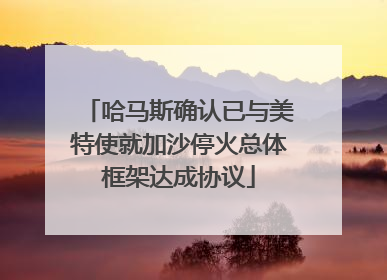 哈马斯确认已与美特使就加沙停火总体框架达成协议