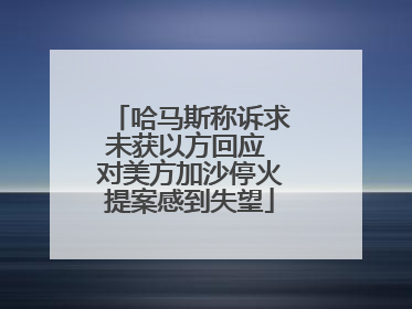 哈马斯称诉求未获以方回应 对美方加沙停火提案感到失望