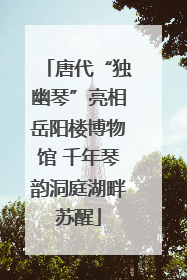 唐代“独幽琴”亮相岳阳楼博物馆 千年琴韵洞庭湖畔苏醒