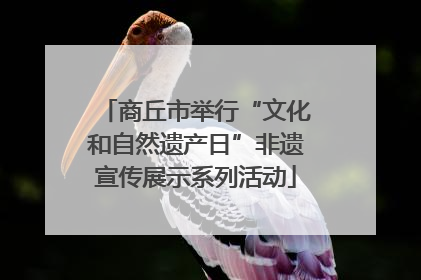 商丘市举行“文化和自然遗产日”非遗宣传展示系列活动