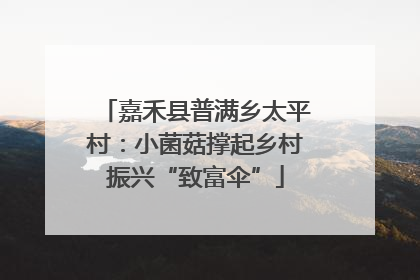 嘉禾县普满乡太平村：小菌菇撑起乡村振兴“致富伞”