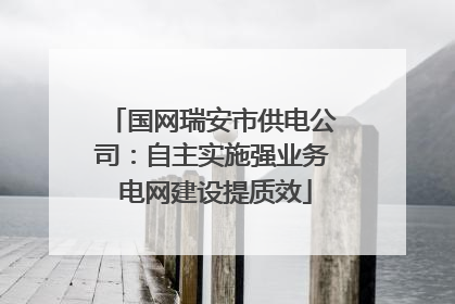 国网瑞安市供电公司：自主实施强业务 电网建设提质效