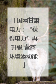 国网甘肃电力：“获得电力”再升级 营商环境添动能