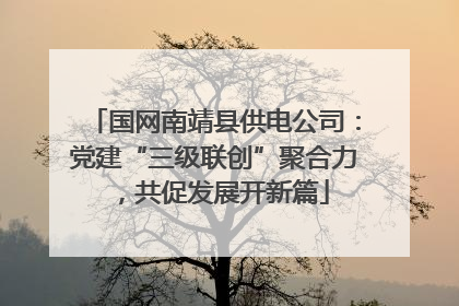 国网南靖县供电公司：党建“三级联创”聚合力，共促发展开新篇