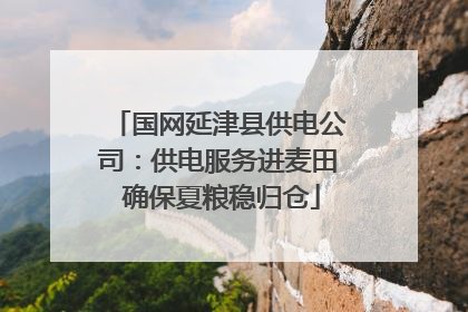 国网延津县供电公司：供电服务进麦田 确保夏粮稳归仓