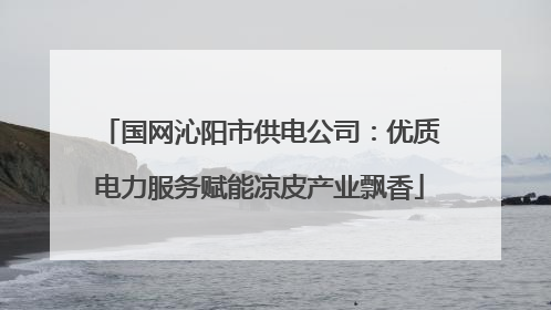 国网沁阳市供电公司：优质电力服务赋能凉皮产业飘香