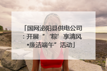 国网泌阳县供电公司：开展“‘粽’享清风 •廉洁端午”活动