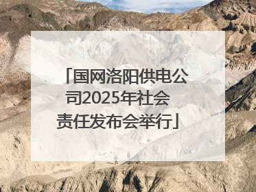 国网洛阳供电公司2025年社会责任发布会举行