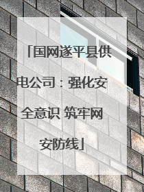 国网遂平县供电公司：强化安全意识 筑牢网安防线