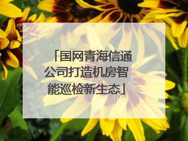 国网青海信通公司打造机房智能巡检新生态