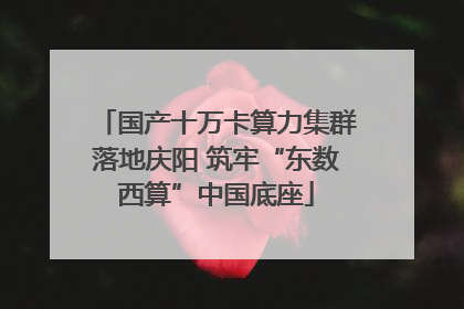 国产十万卡算力集群落地庆阳 筑牢“东数西算”中国底座