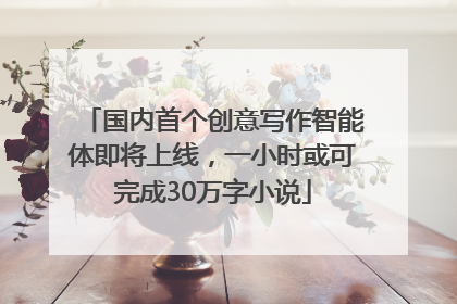 国内首个创意写作智能体即将上线，一小时或可完成30万字小说