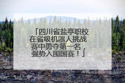 四川省盐亭职校在省级机器人挑战赛中勇夺第一名，强势入围国赛！