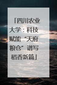 四川农业大学：科技赋能“天府粮仓”谱写稻香新篇