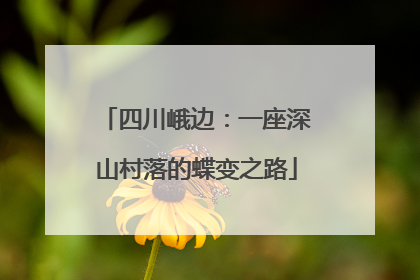 四川峨边：一座深山村落的蝶变之路