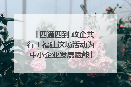 四通四到 政企共行！福建这场活动为中小企业发展赋能