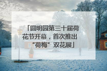 圆明园第三十届荷花节开幕，首次推出“荷梅”双花展