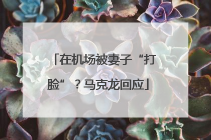 在机场被妻子“打脸”？马克龙回应