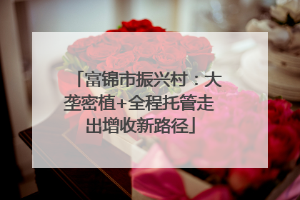 富锦市振兴村：大垄密植+全程托管走出增收新路径