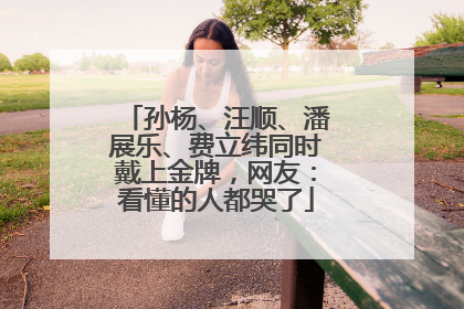 孙杨、汪顺、潘展乐、费立纬同时戴上金牌，网友：看懂的人都哭了