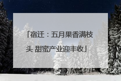 宿迁：五月果香满枝头 甜蜜产业迎丰收