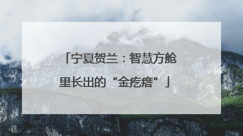 宁夏贺兰：智慧方舱里长出的“金疙瘩”