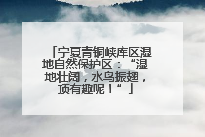 宁夏青铜峡库区湿地自然保护区：“湿地壮阔，水鸟振翅，顶有趣呢！”