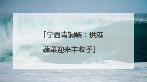 宁夏青铜峡：供港蔬菜迎来丰收季