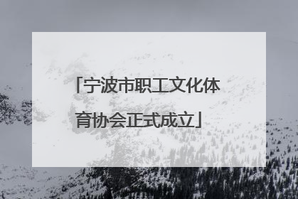 宁波市职工文化体育协会正式成立