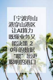宁波舟山港穿山港区让AI算力既懂业务又能决策 20年的数据“喂”出更聪明的港口