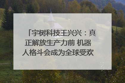 宇树科技王兴兴：真正解放生产力前 机器人格斗会成为全球受欢迎的赛事｜科技观察